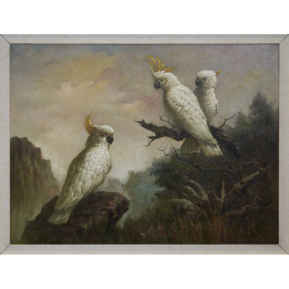 35. 白鹦鹉（三）Three White Parrots